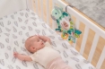 INFANTINO Брязкальце Слоненя, 315068