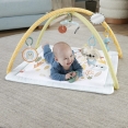 Килимок-ігровий центр "Перші дотики дитини" Fisher-Price