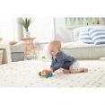 Тваринки на колесах Fisher-Price (в ас.)