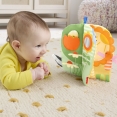 М'якенька розвивальна книжечка Fisher-Price (JKP53)